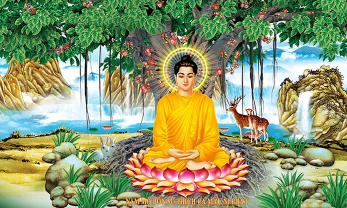 Dòng sông tâm thức: Thiền (III)