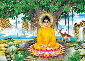 Dòng sông tâm thức: Thiền (III)
