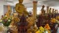Tiền Giang: Chùa Nam An tổ chức Pháp hội Dược Sư cầu quốc thới dân an và đảo bệnh cho Phật tử