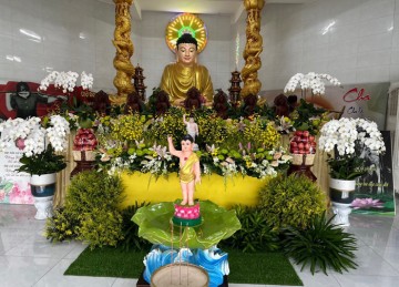 TX.Cai Lậy: Hình ảnh thiết trí lễ đài Phật đản tại một số tự viện 